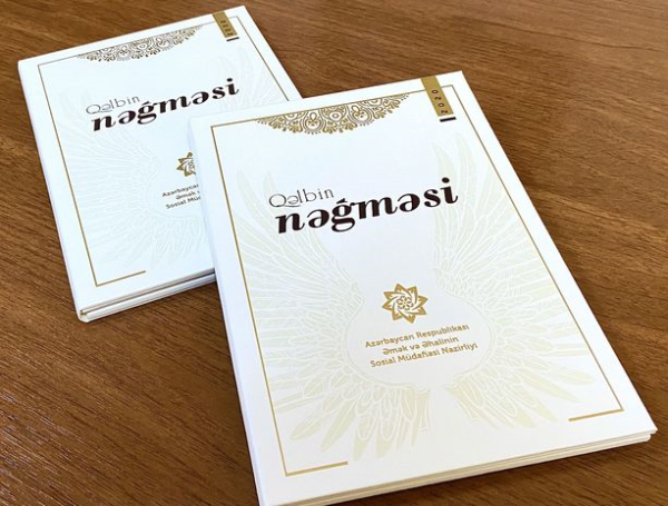 Azərbaycanlı professor əlilliyi olan ifaçılar üçün nəzərdə tutulan layihə haqqında - FOTO